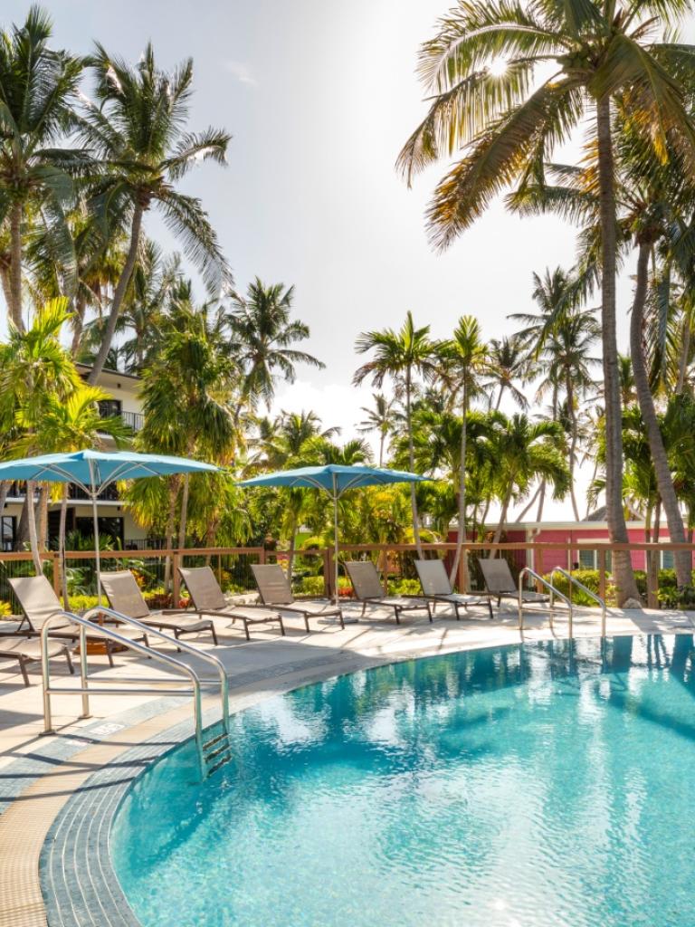 A pool surrounded by palm trees in Islamorada.