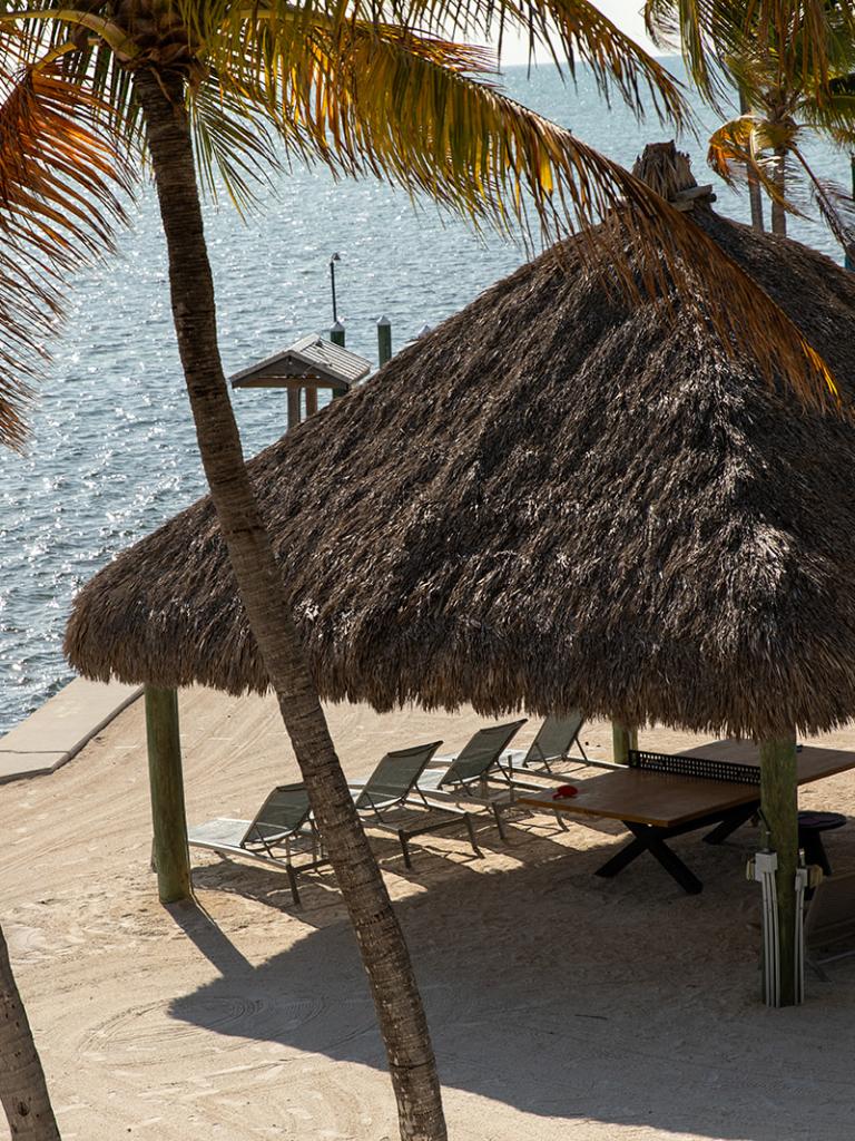 A few lounge chairs sitting next to the ocean at La Siesta Resort.