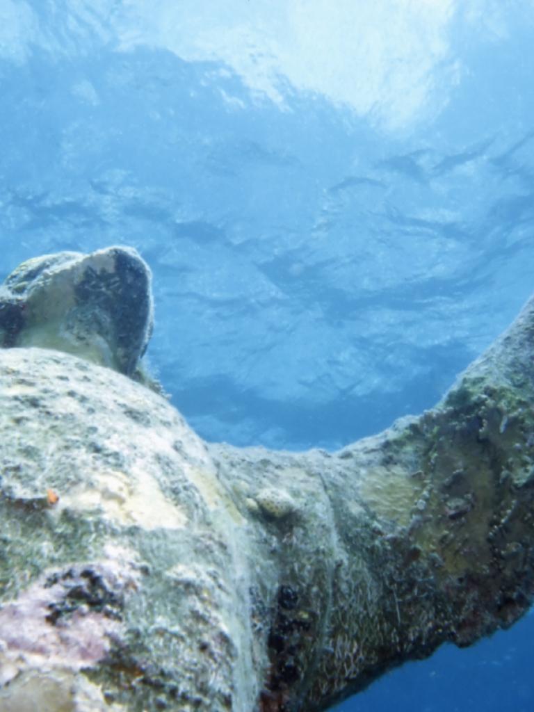 statue under water