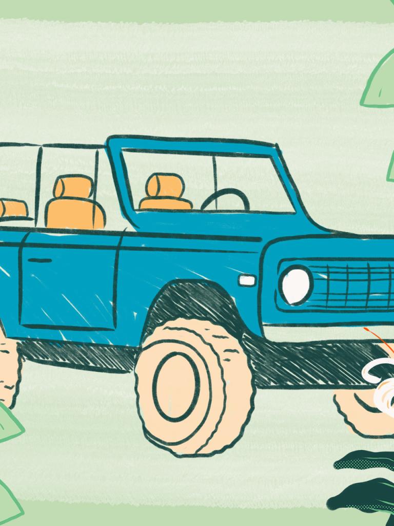 Florida Dream Drive - Bronco
