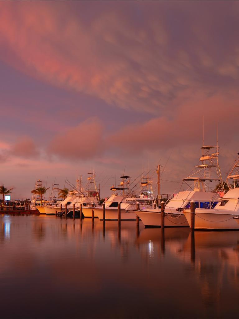 boats docked at the marina