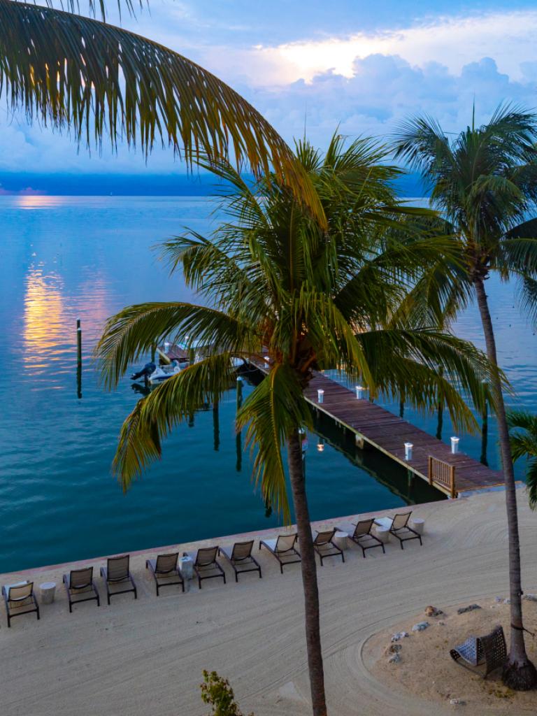 palm trees with chairs and a dock into the ocean in the background