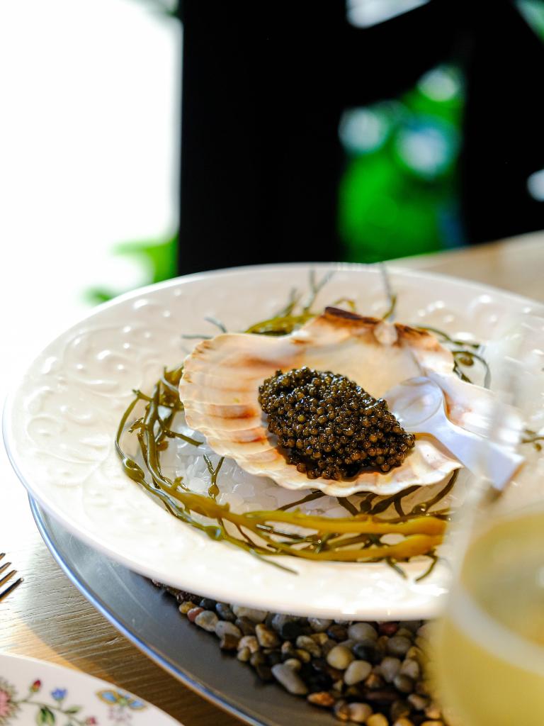 Scallop