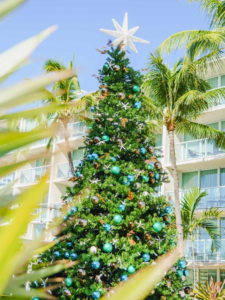 A large Christmas tree decorated for the holidays