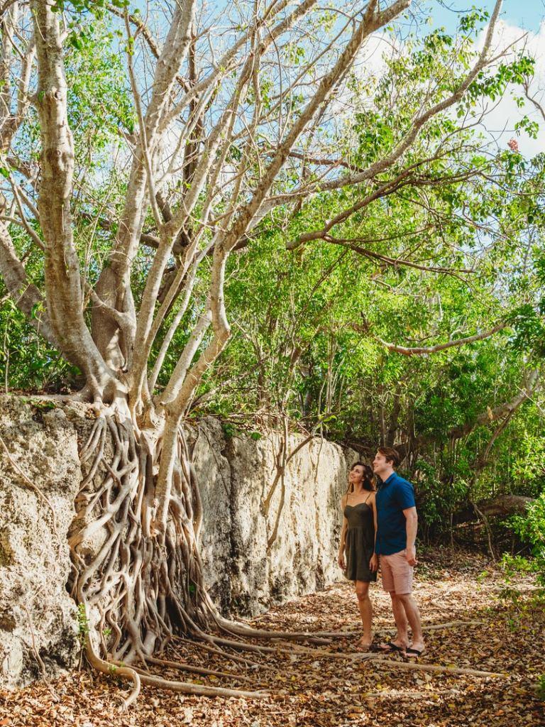 Windley Key Fossil Reef