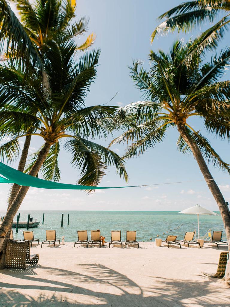 a sandy beach with palm trees, chairs and shaded area