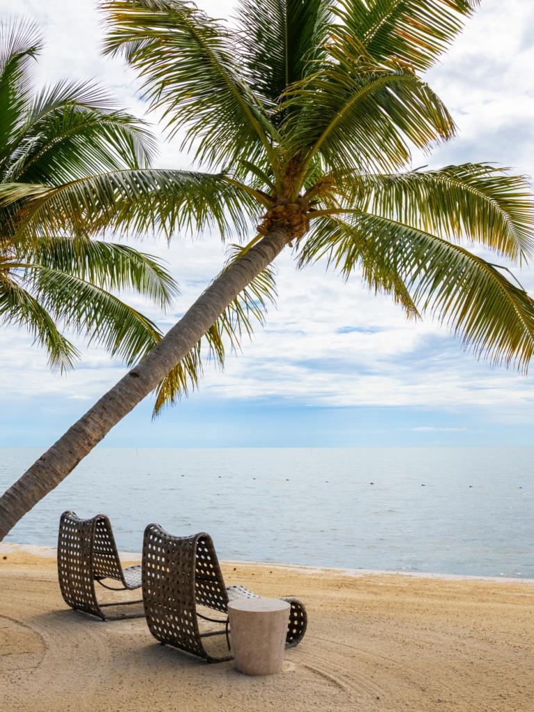 wicker chair on a beach looking towards the ocean with palmtrees