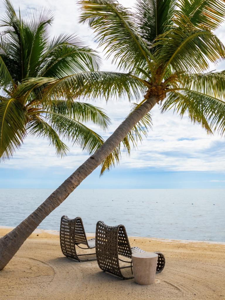 wicker chair on a beach looking towards the ocean with palmtrees