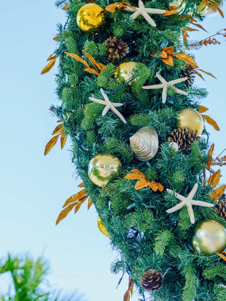 tropical wreath decorated for christmas