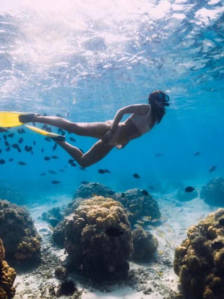 woman snorkling with fish