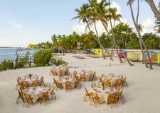 A wedding setup on a La Siesta beach, with wicker chairs surrounding round banquet tables, under a canopy of palm trees