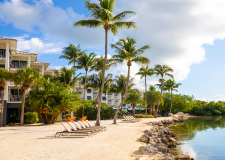 The Resort