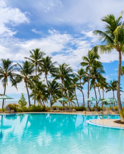 A pool surrounded by palm trees in Islamorada.